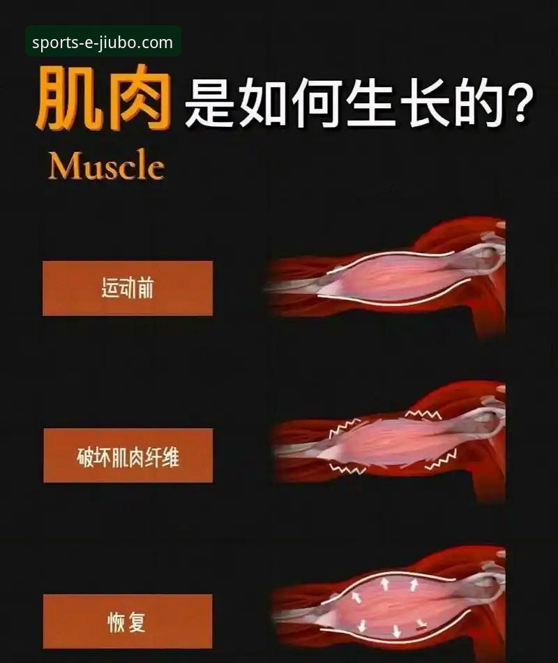 九博体育官网入口常见问题 新手必看!九博体育平台使用心得与常见问题全解析